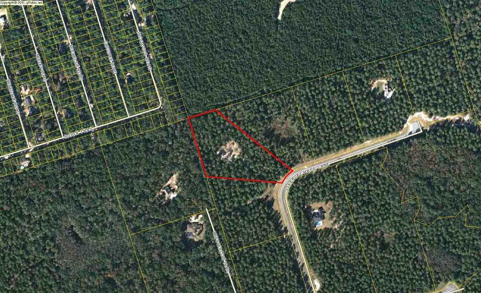 XX Steeple Chase Ln, Crawfordville, FL 32327 - photo 1