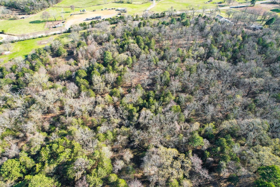 5100 Oak Bend Rd, Ozark, AR 72949 - photo 1