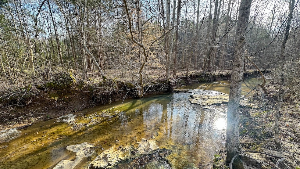 0 Jeanette Holladay Rd, Parsons, TN 38363 - photo 1