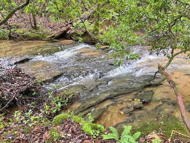 2243 Damascus Rd, Ball Ground, GA 30107 - photo 1