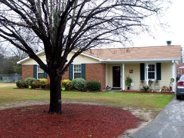 Main View
