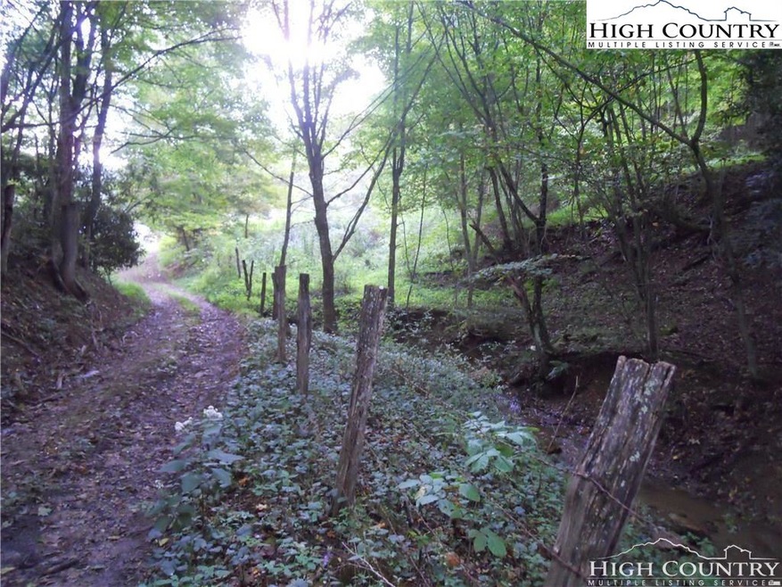 This photo shows the access road into the property