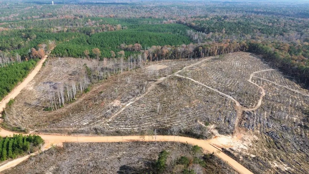 40 Boromville Rd, Hurtsboro, AL 36860 - photo 1