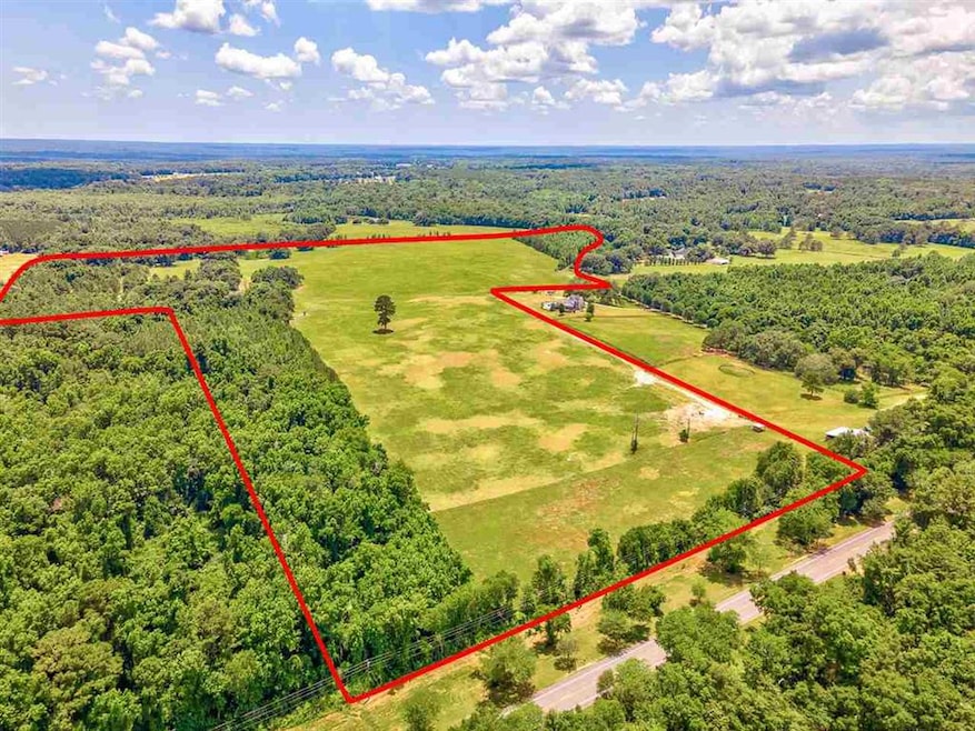 XXX Mahan Dr, Monticello, FL 32344 - photo 1