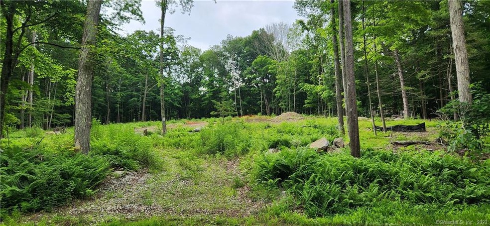 0 Coventry Rd unit 170582264, Mansfield Center, CT 06250 - photo 1