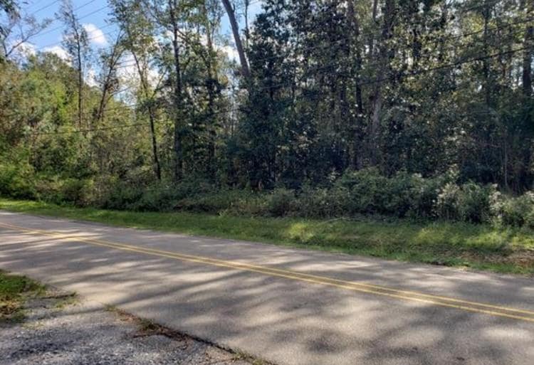 311 W 8th Ave, Covington, LA 70433 - photo 1