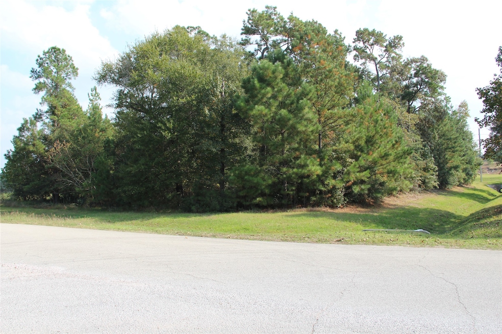 27410 E Benders Landing Blvd, Spring, TX 77386 - photo 1