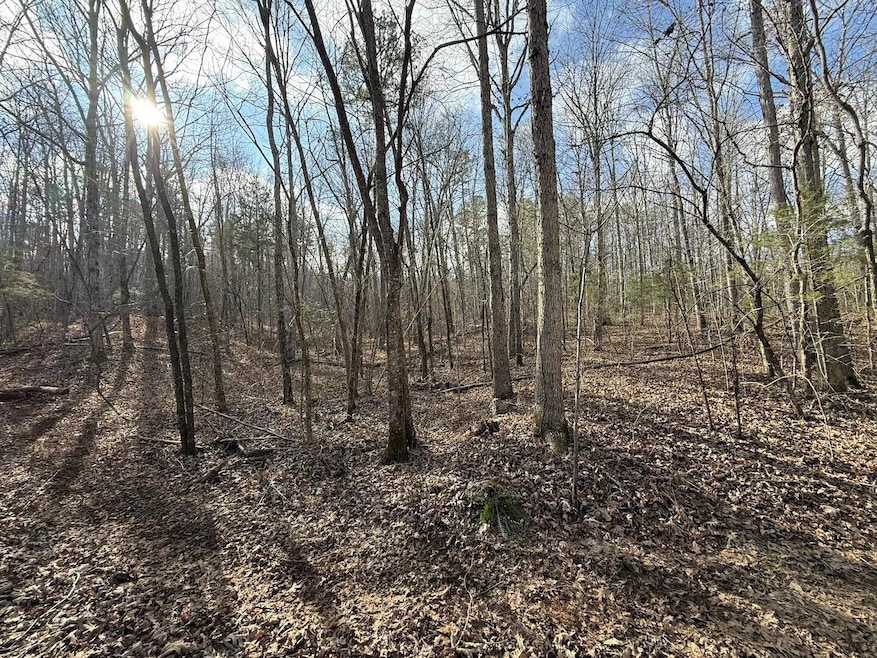 000 Ottofy Way, Eminence, MO 65466 - photo 1