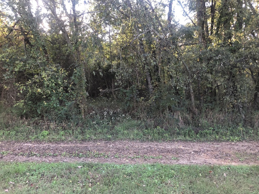 0 Ross Rd, Pulaski, TN 38478 - photo 1