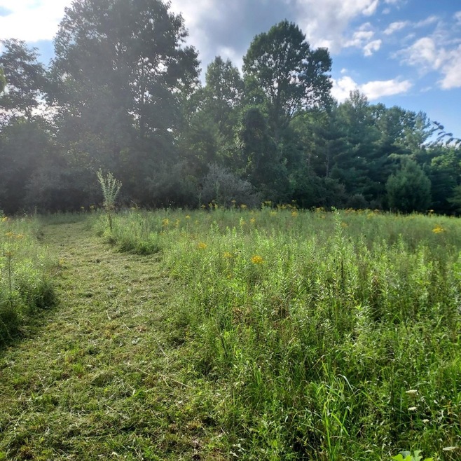 Sold  • Co-Listing Agent