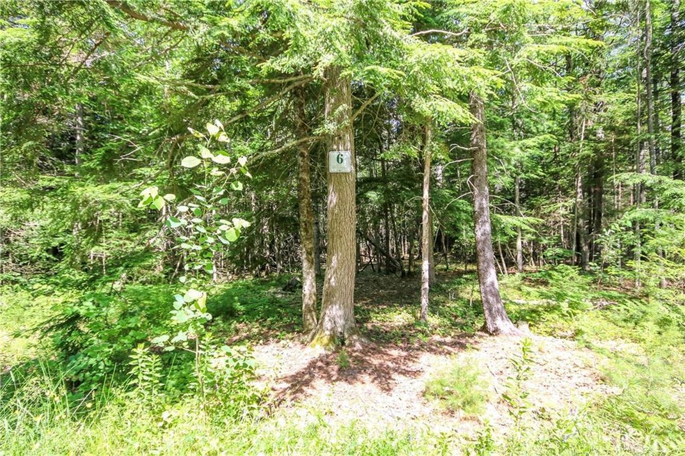 Lot 6