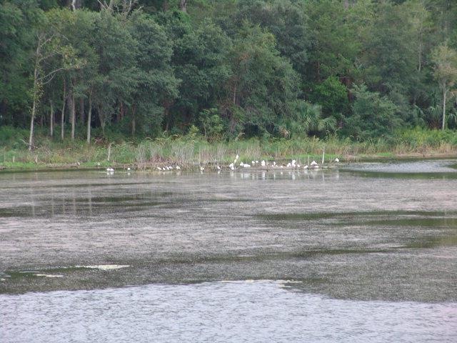 3 Carnachan Ln, Darien, GA 31305 - photo 1