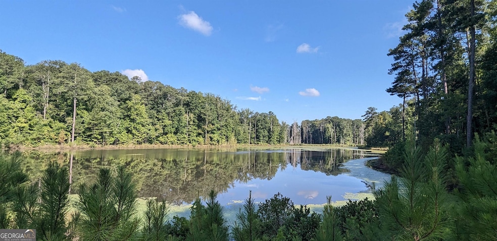 LOT 3 Joe Roberts Rd, Newnan, GA 30263 - photo 1