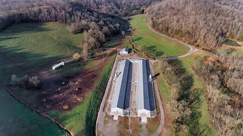 706 Petty Branch Rd, Pulaski, TN 38478 - photo 1