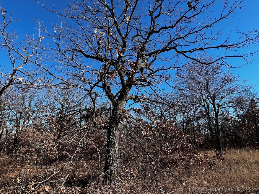 0 W 155th St N, Skiatook, OK 74070 - photo 1