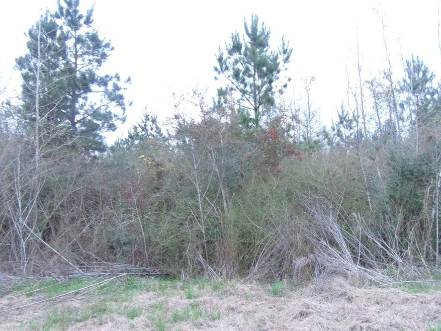 0000 Old Hwy 24 E, McComb, MS 39648 - photo 1