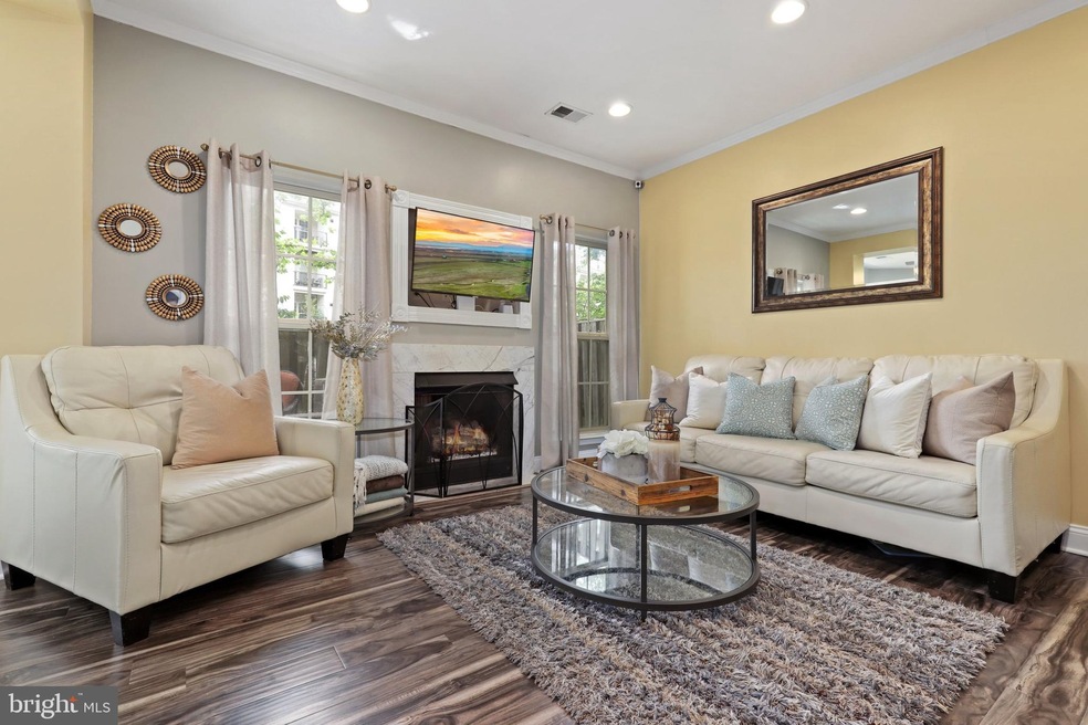 46381 Pryor Square, Sterling, VA 20165 - photo 1