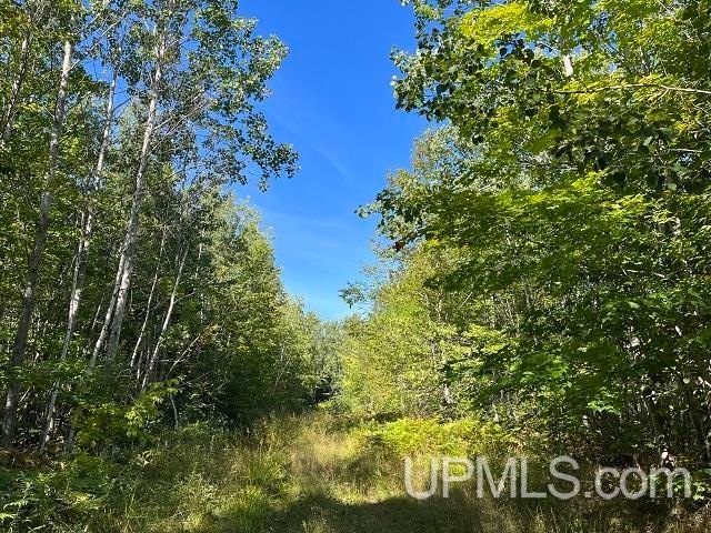 40 Acres Townline