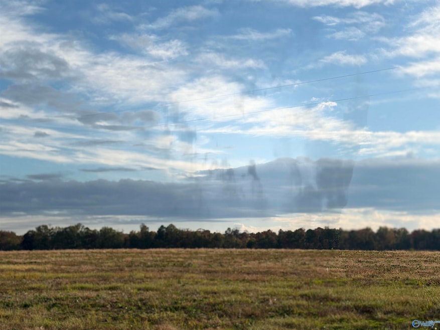 Lot 29 County Road 32, Piedmont, AL 36272 - photo 1