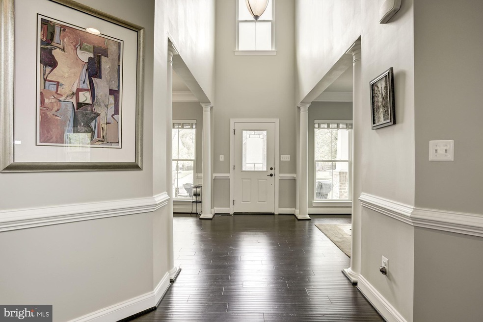 41594 Revival Dr, Ashburn, VA 20148 - photo 1