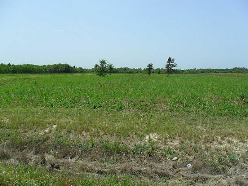 Land/Lot.