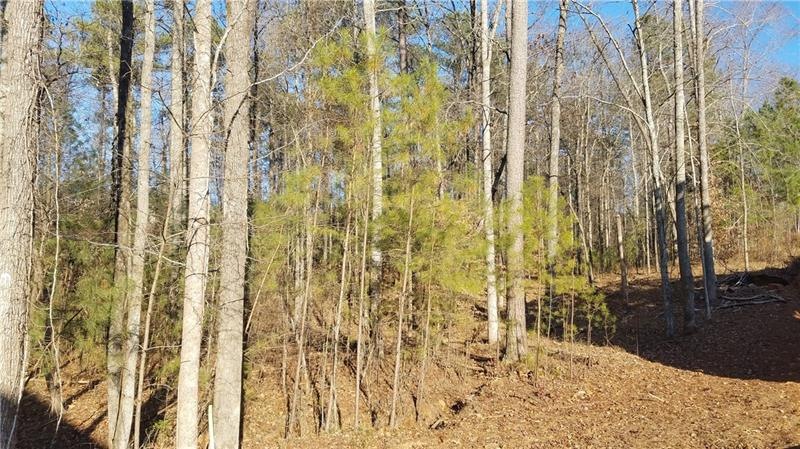 2117 Ginger Estates Dr NE, Conyers, GA 30013 - photo 1