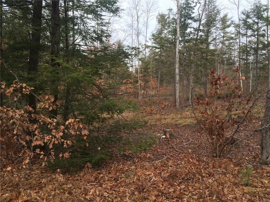 85.75 Milton Mills Rd, Acton, ME 04001 - photo 1