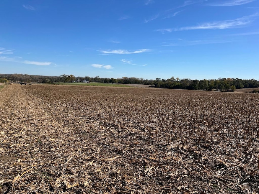 650 County Road R, Yutan, NE 68073 - photo 1