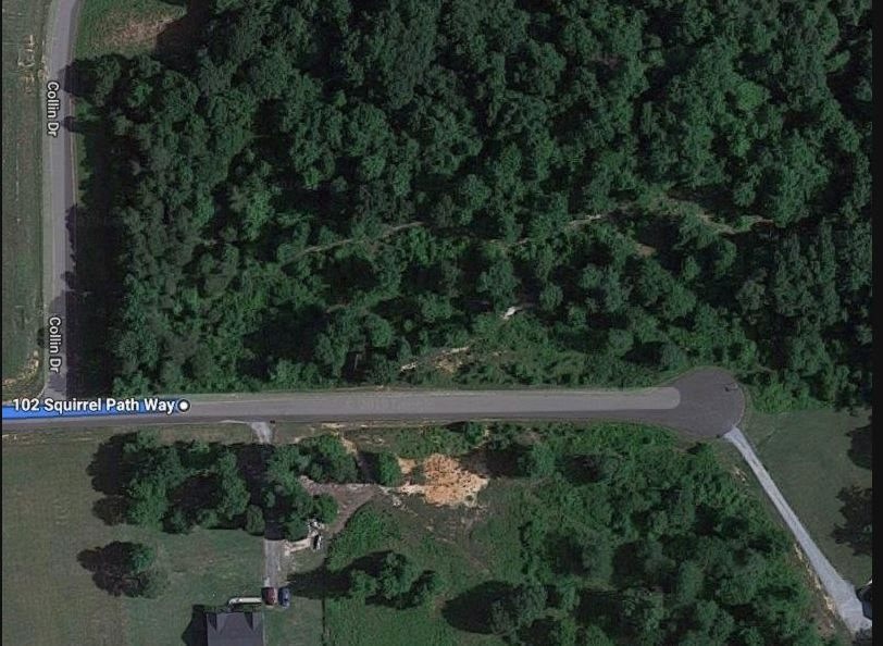 123 Squirrel Path Way, Olive Hill, NC 27574 - photo 1