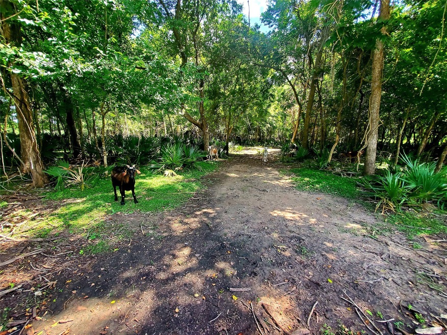 7651 County Road 400, Brazoria, TX 77422 - photo 1