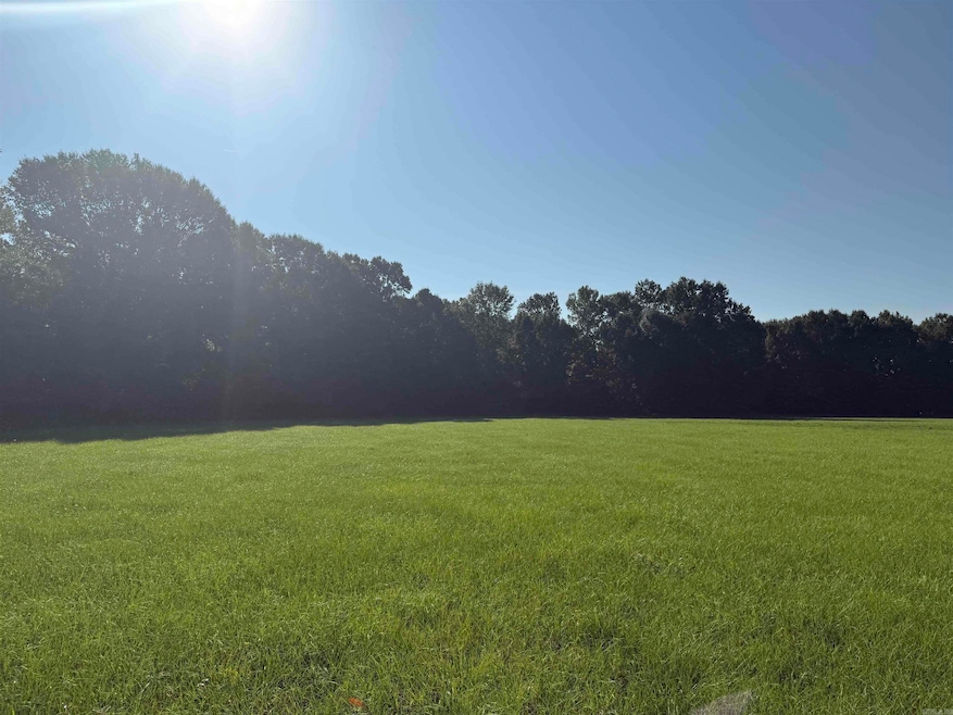 00 Highway 107 N, Enola, AR 72047 - photo 1