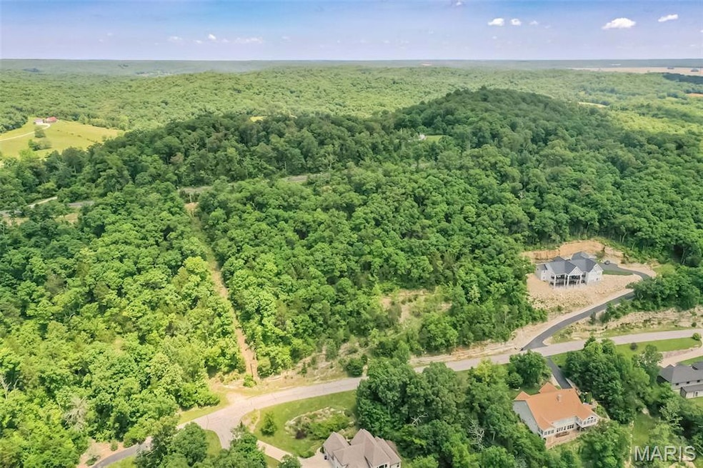 4495 Kingfisher Ct, Augusta, MO 63332 - photo 1