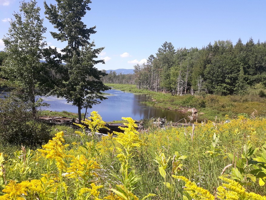 25 Fernalds Hill Way, Stow, ME 04037 - photo 1