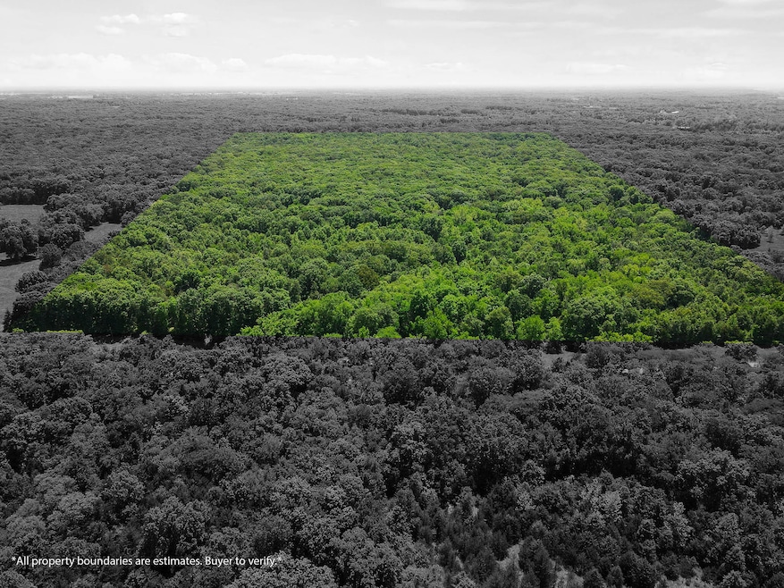 40 ACRES N Phillipe Rd, Rocky Fork Township, MO 65255 - photo 1