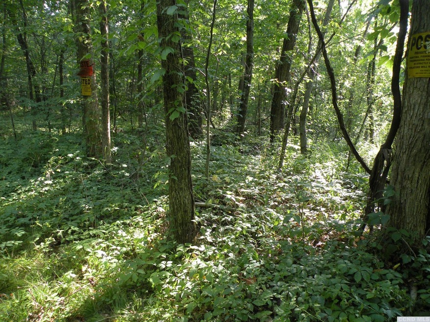 322 Mitchell St, Hillsdale, NY 12529 - photo 1