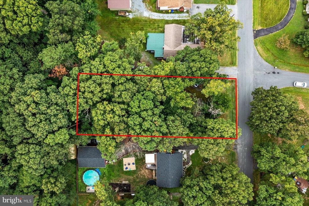 1013 Chesapeake Dr, Stevensville, MD 21666 - photo 1