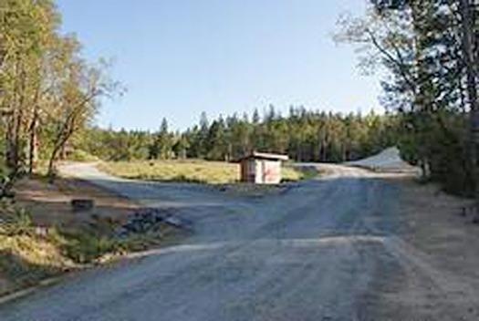 Primary Photo