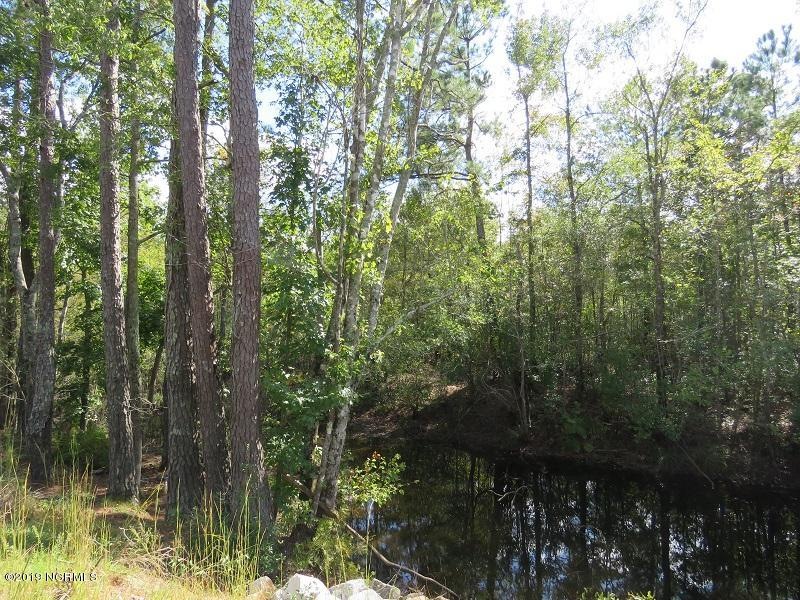 Applewhite Tract2 1