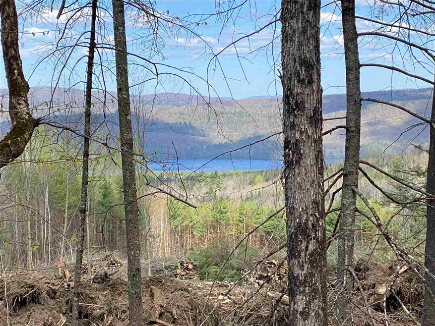 00 Broomstick Hill Rd unit 6, Littleton, NH 03561 - photo 1