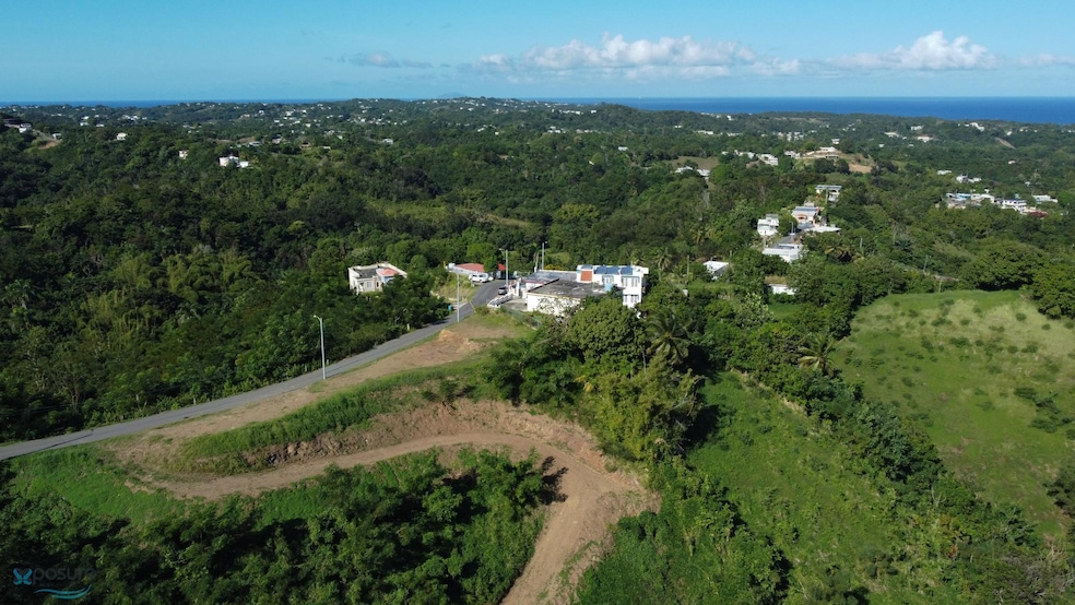 KM 4.2 Bo Carrizal unit Solar 1, Aguada, PR 00602 - photo 1