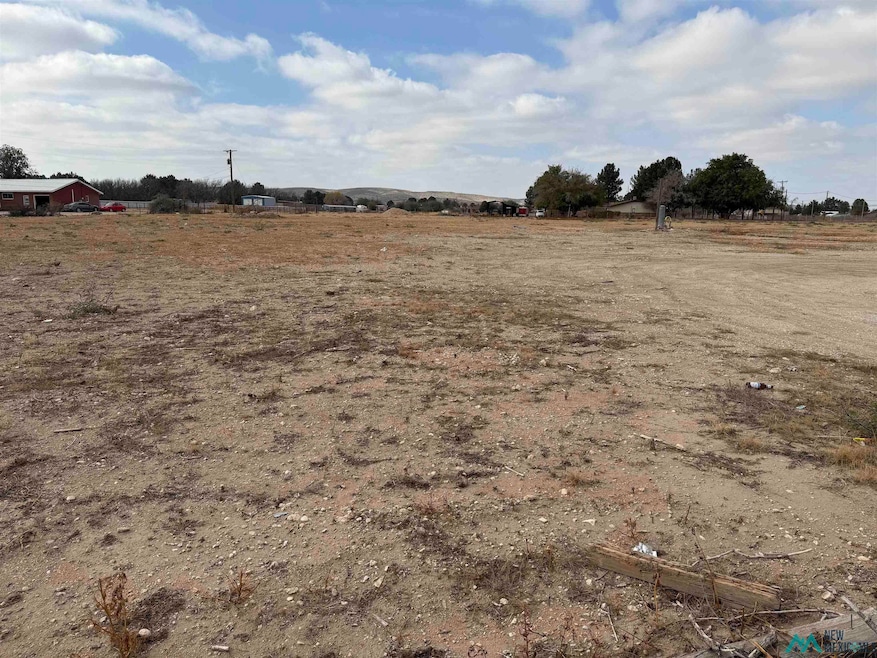 S of 2003 Standpipe Rd, Carlsbad, NM 88220 - photo 1
