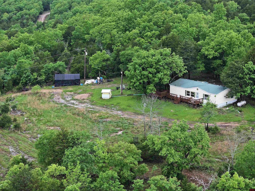 1427 Mc 164, Theodosia, MO 65761 - photo 1