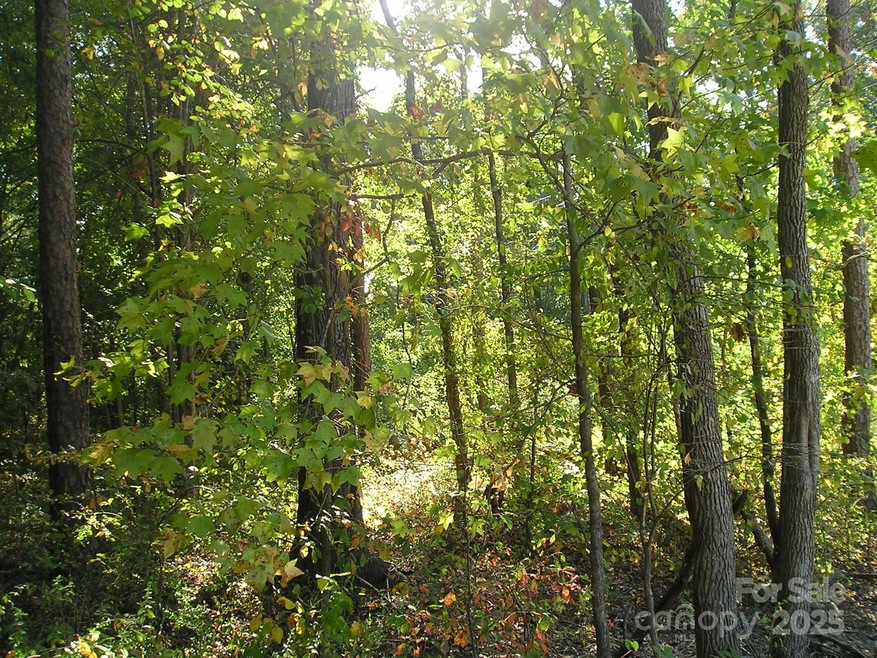 000 Woodhaven Ln unit 15/16, Indian Trail, NC 28079 - photo 1