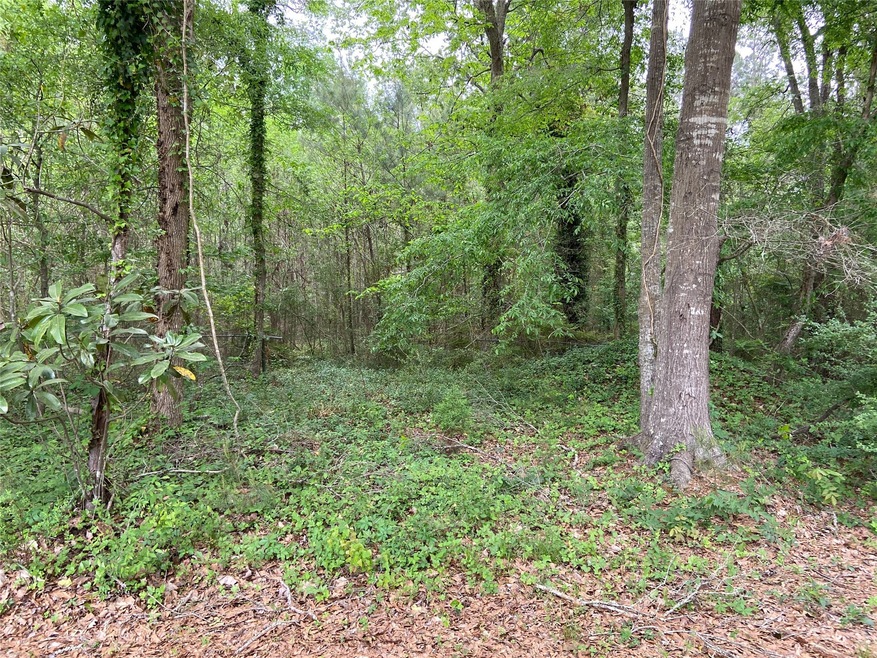 21195 Carter Rd, Splendora, TX 77372 - photo 1