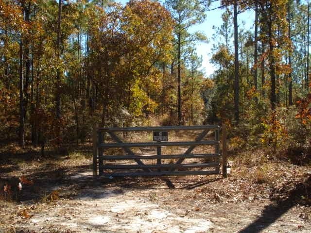 0 Crawfordville Ave, Crawfordville, FL 32327 - photo 1