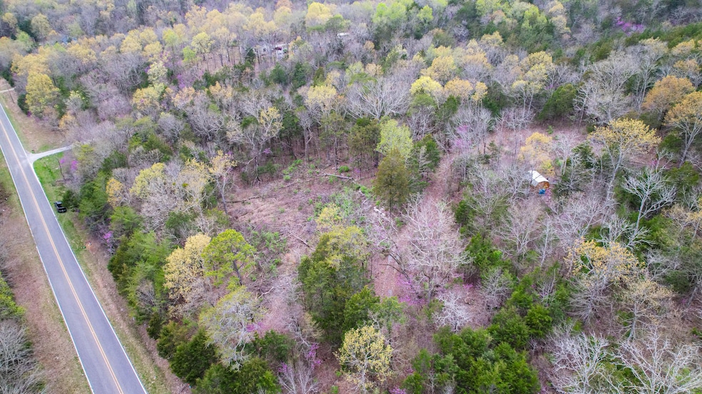 DJI_0367