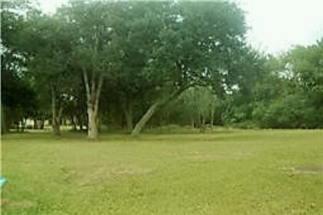 250 S Shirley, Alvin, TX 77511 - photo 1