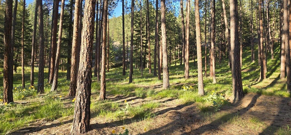 NHN Profile Rock, Alberton, MT 59820 - photo 1