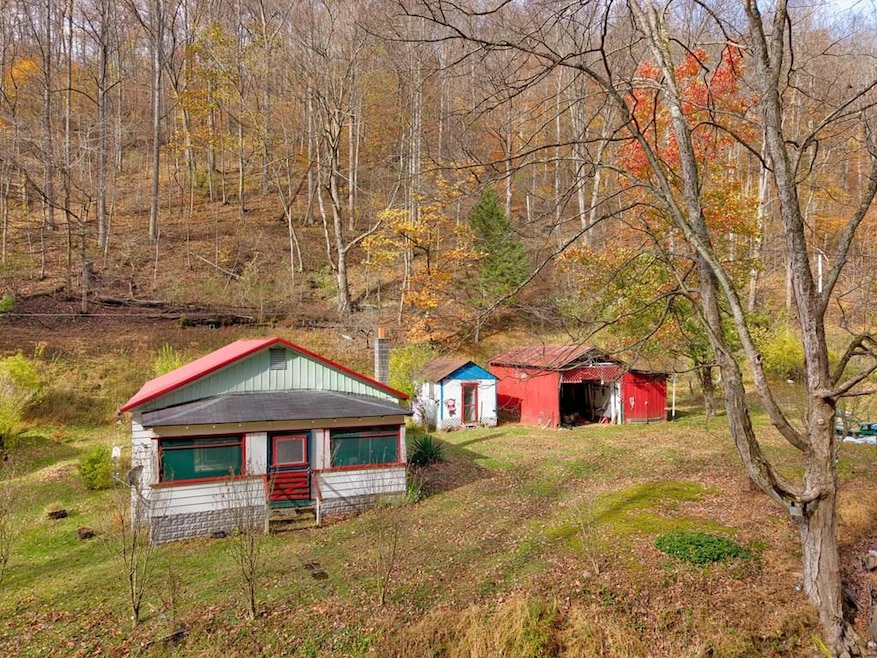 131 Big Bear Run Rd, Smithfield, WV 26437 - photo 1