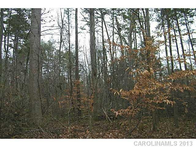 0 N Ingleside Farm Rd, Iron Station, NC 28080 - photo 1